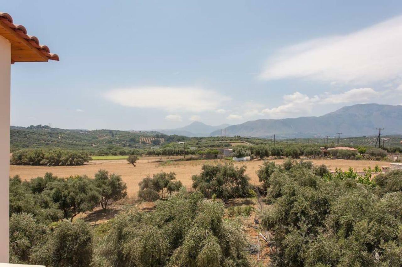 Olive Tree Farm 200M From The Beach Episkopi-Chania Exterior foto